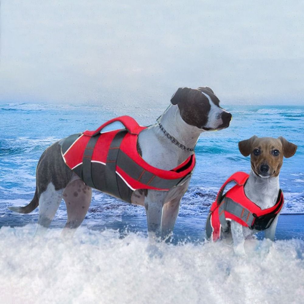 Life Jacket Buoyancy - Odblaskowa kamizelka ratunkowa dla psa, regulowana,