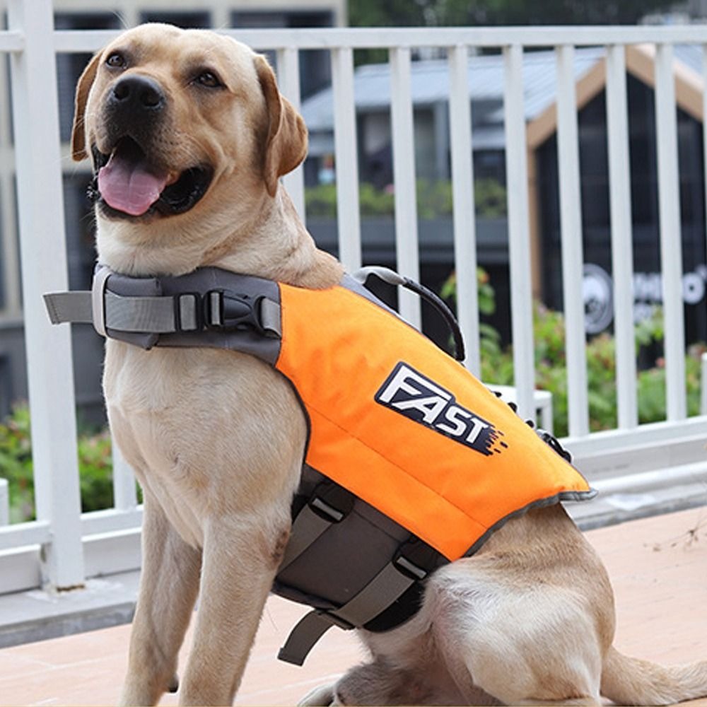 Regulowana kamizelka ratunkowa – Life Jacket Buoyancy recenzja i cena