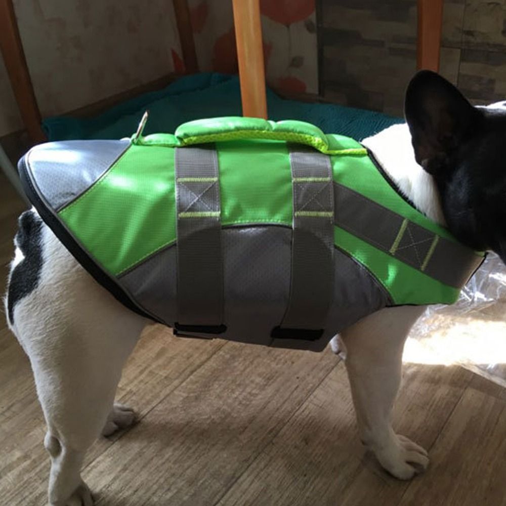 Kamizelka ratunkowa dla psa od – Life Jacket Buoyancy recenzja i cena