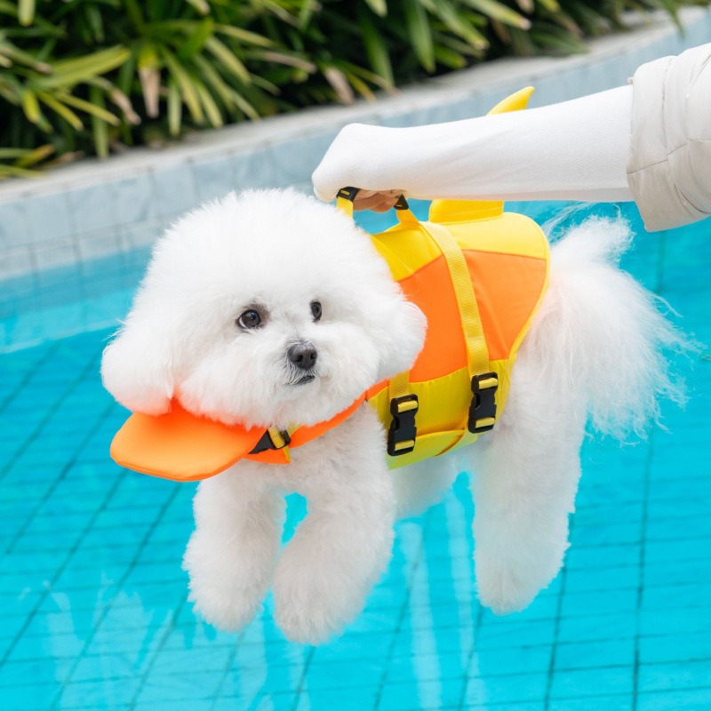 Kamizelka ratunkowa dla psa Sh – Life Jacket Buoyancy recenzja i cena