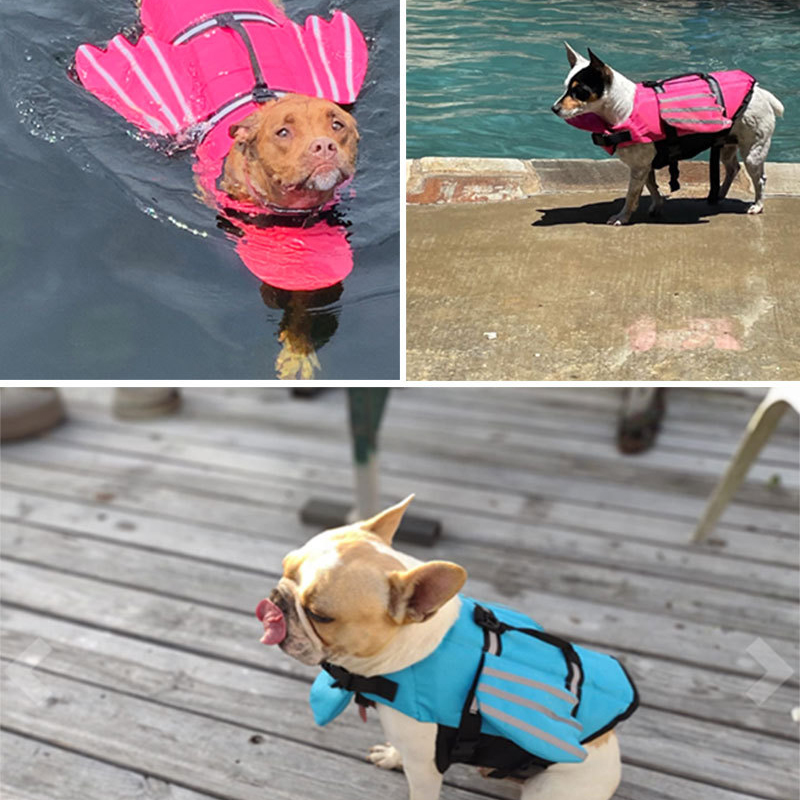 Kamizelka Ratunkowa dla Psa Od – Life Jacket Buoyancy recenzja i cena